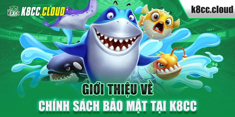 Giới thiệu về chính sách bảo mật tại K8CC